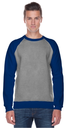 Two-Tone Raglan Sweatshirt